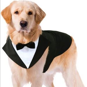‼️Closet Clear Out‼️ Kuoser Dog Tuxedo Dog Suit and Bandana Set Size Medium